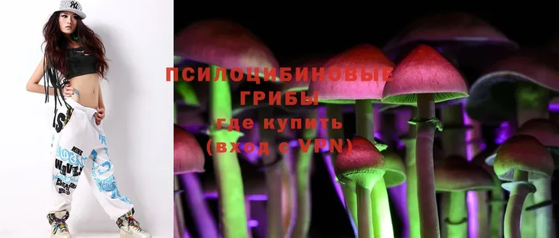 Галлюциногенные грибы Psilocybine cubensis  Галич 