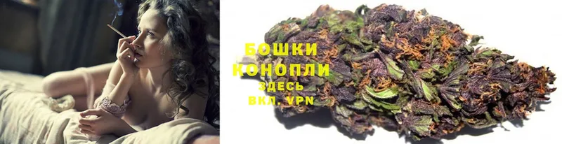 Бошки Шишки THC 21%  купить закладку  Галич 